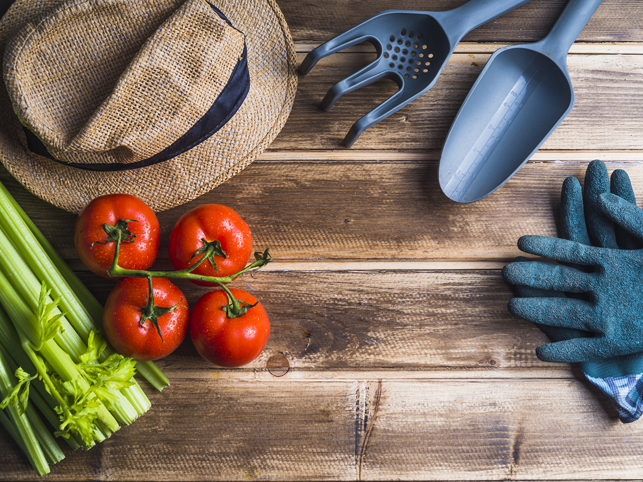 Food Inspection Program