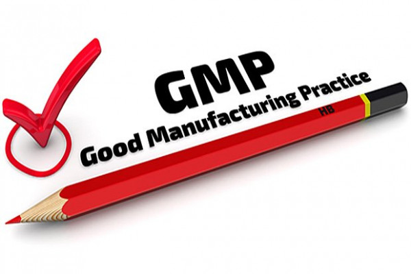 Good Manufacturing Practices GMP