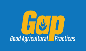 good agricultural practices (basics of good agricultural practices and quality system management)